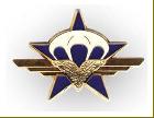Insigne du 1er RCP